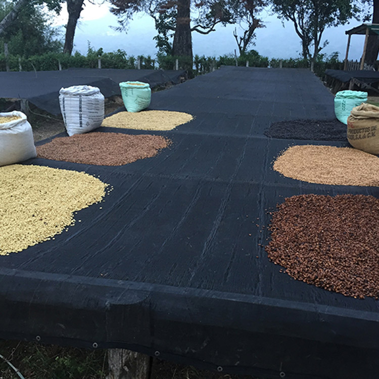 なぜカーボニック・マセレーション？