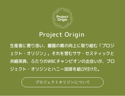 プロジェクトオリジンについて